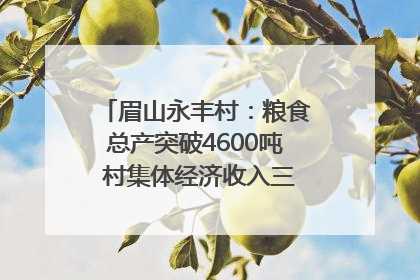眉山永丰村：粮食总产突破4600吨 村集体经济收入三年倍增｜牵挂的村